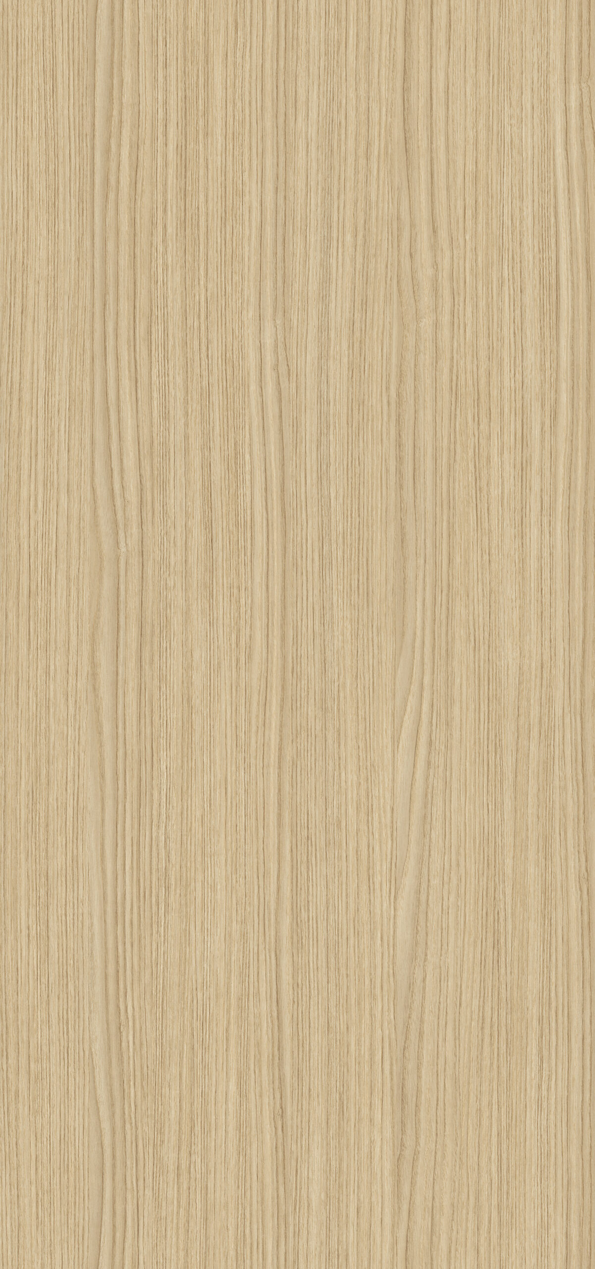 D20754-Dab-Nastrojowy