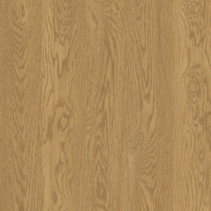 D60654 OV Lukšto Ąžuolas